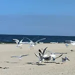Strand25 *