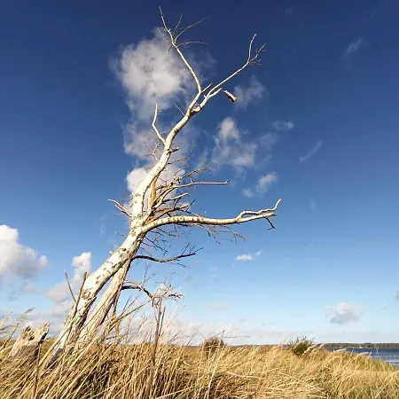 شقة Strand25 تراسينهيد