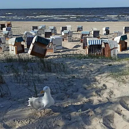 Strand25 * تراسينهيد