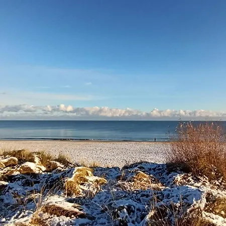 Strand25